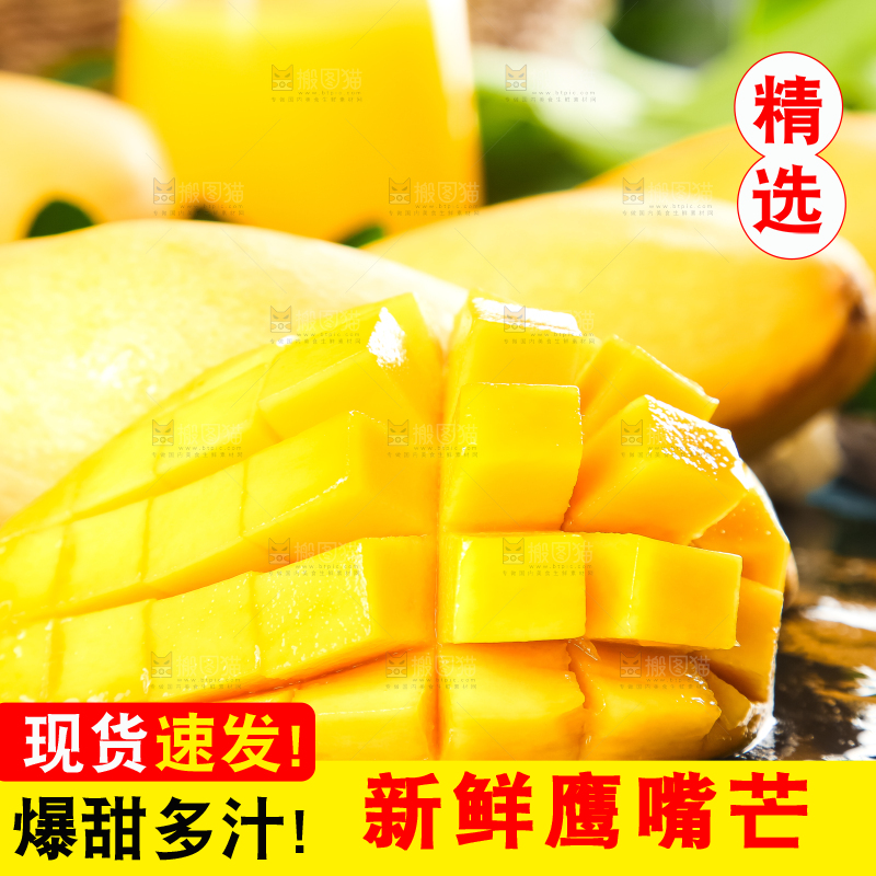 鹰嘴芒