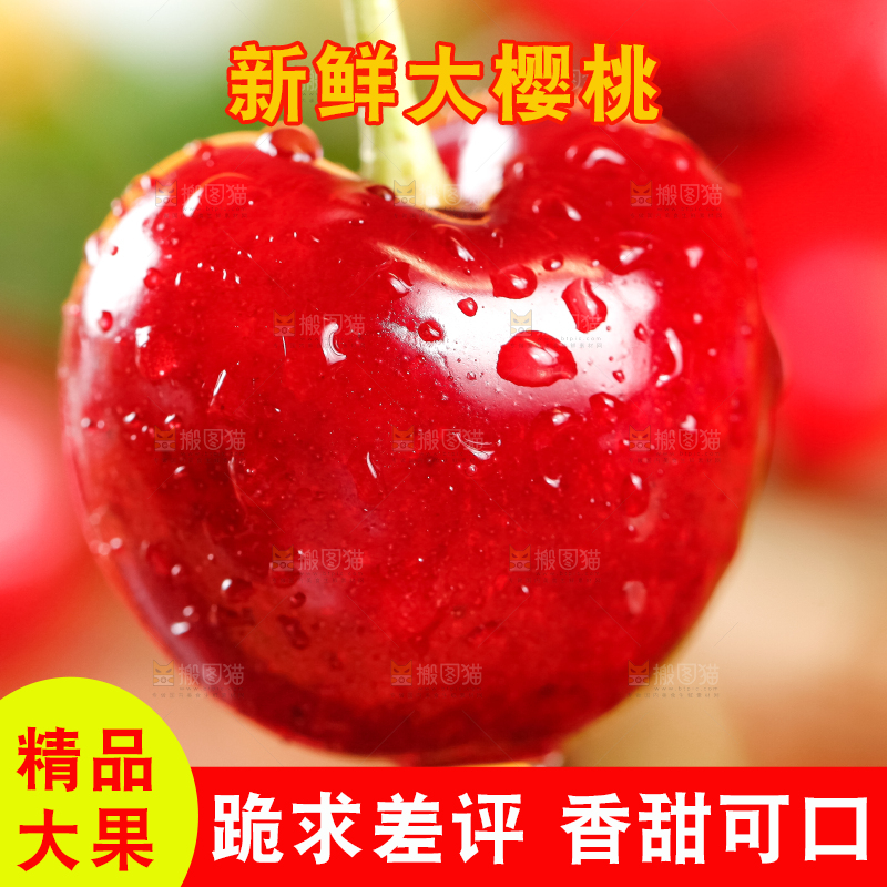 大樱桃