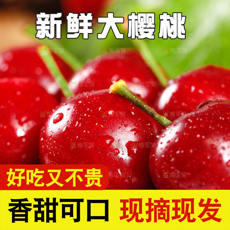 大樱桃