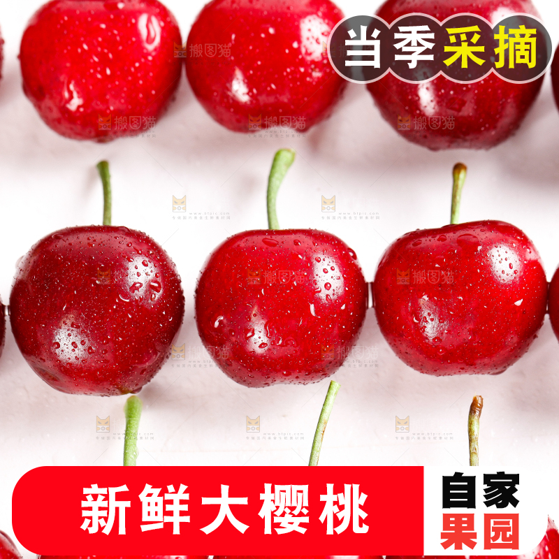 大樱桃