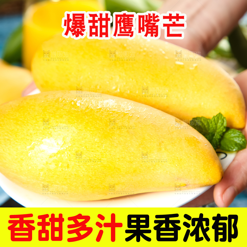 鹰嘴芒