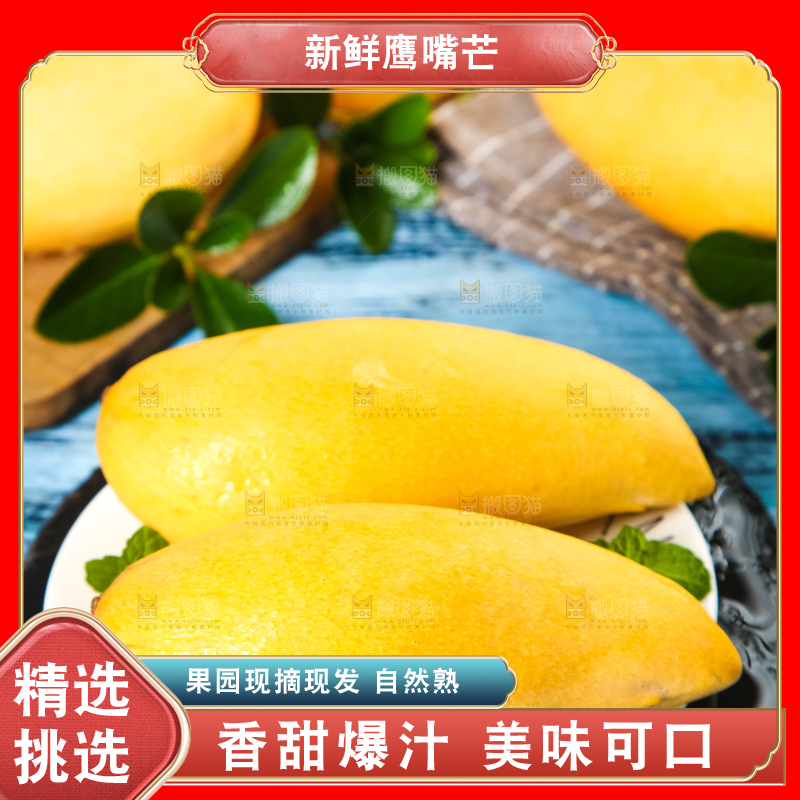 鹰嘴芒