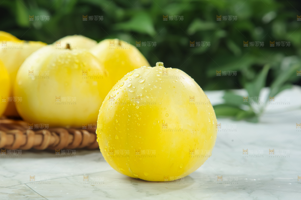 小蜜蜂甜瓜