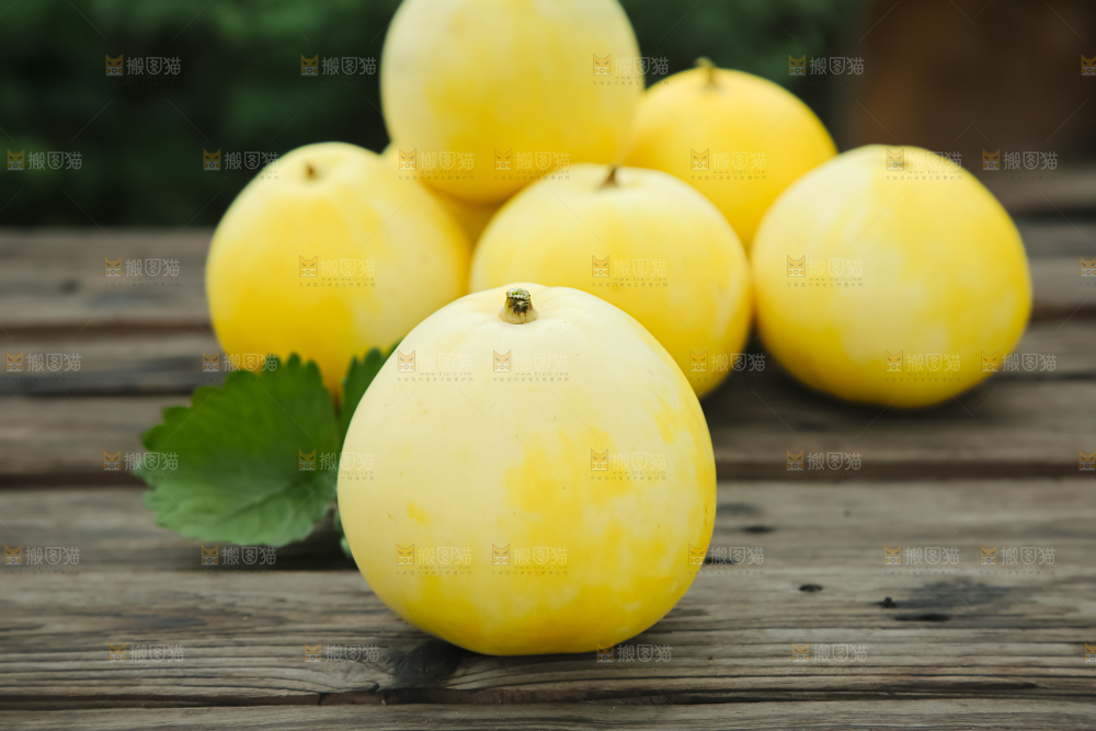 小蜜蜂甜瓜