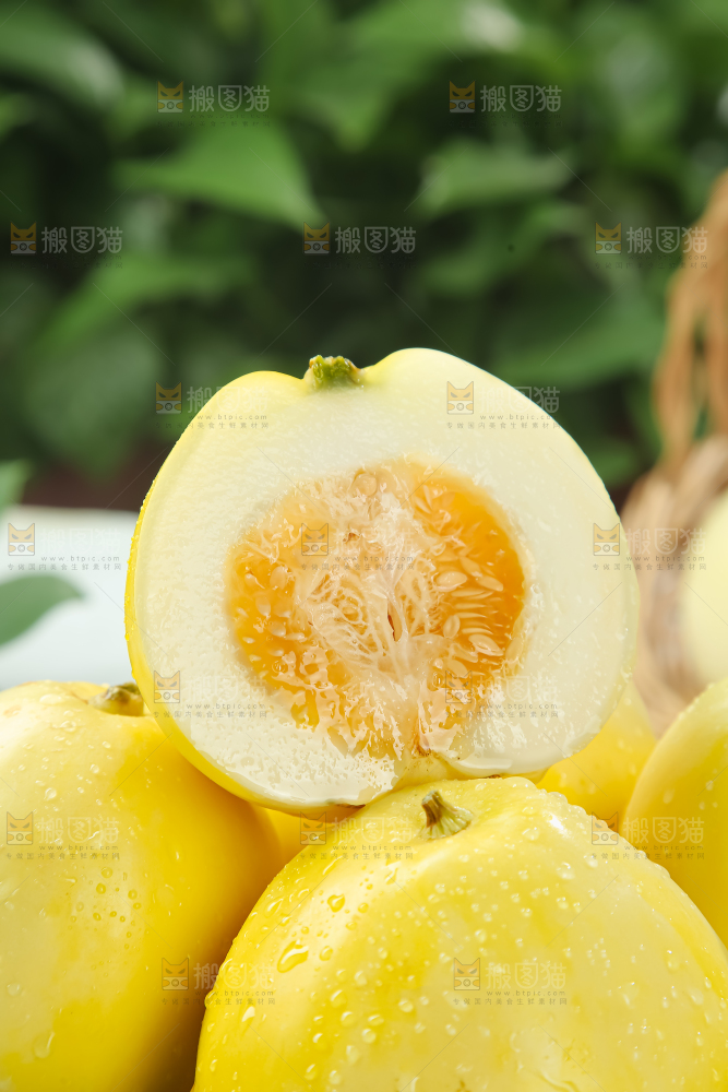 小蜜蜂甜瓜
