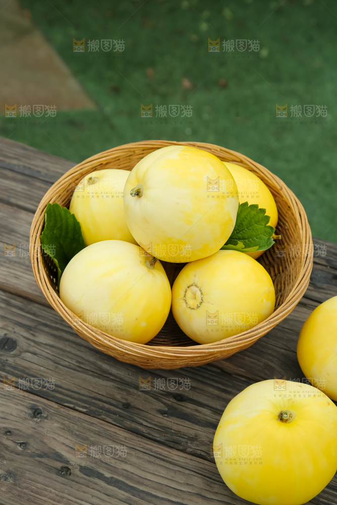小蜜蜂甜瓜
