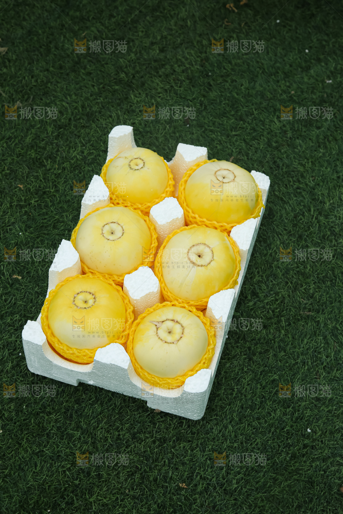 小蜜蜂甜瓜