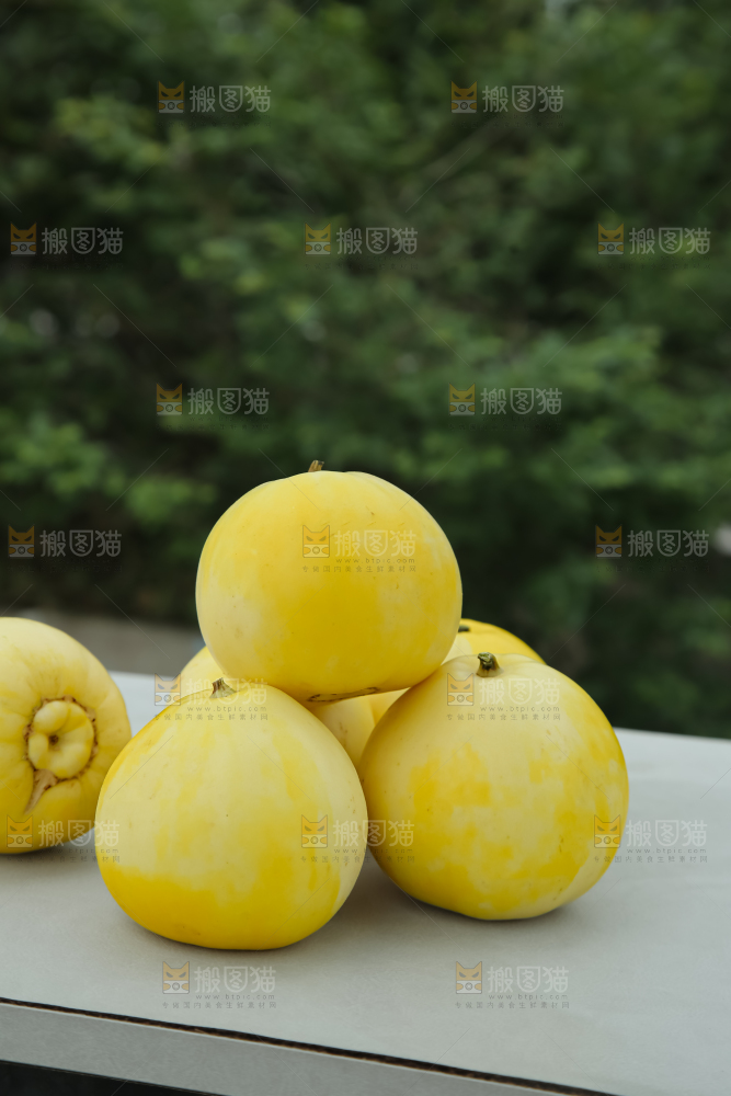 小蜜蜂甜瓜