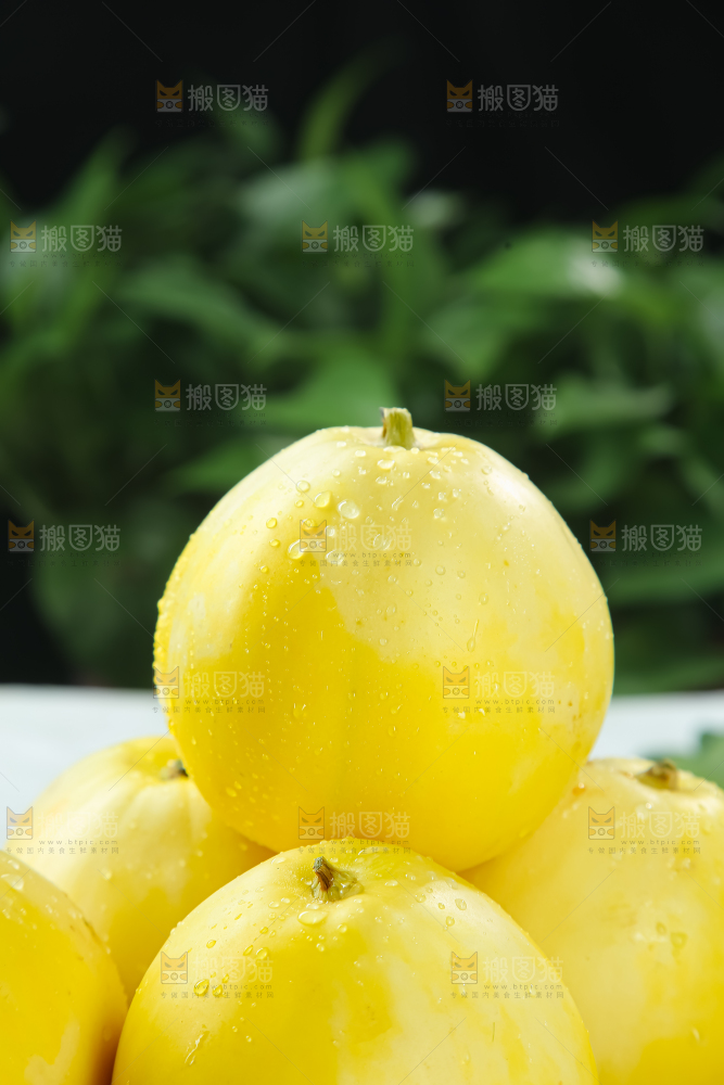 小蜜蜂甜瓜