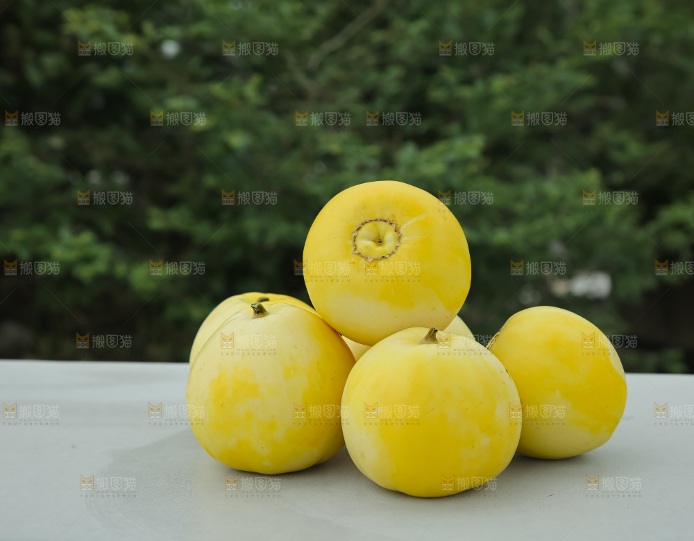 小蜜蜂甜瓜