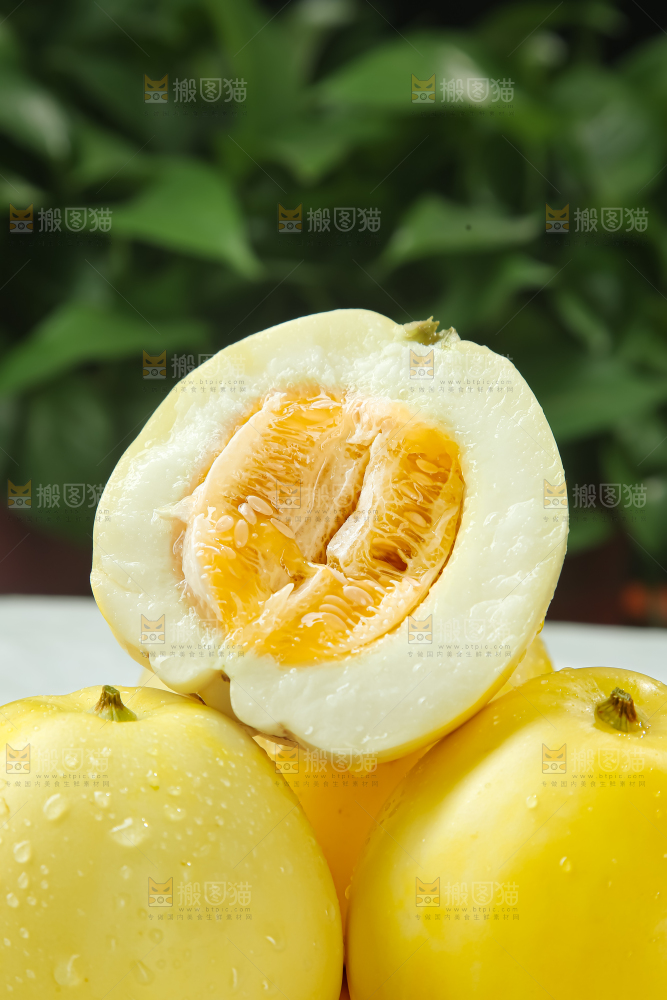 小蜜蜂甜瓜