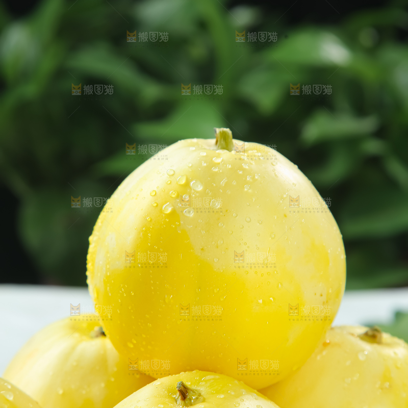 小蜜蜂甜瓜