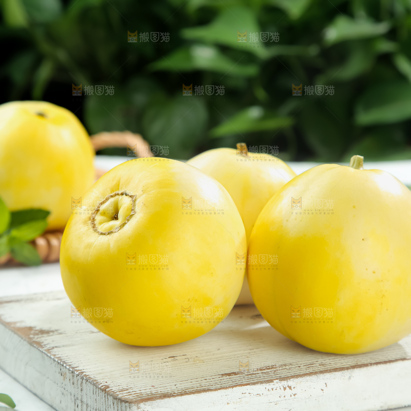 小蜜蜂甜瓜