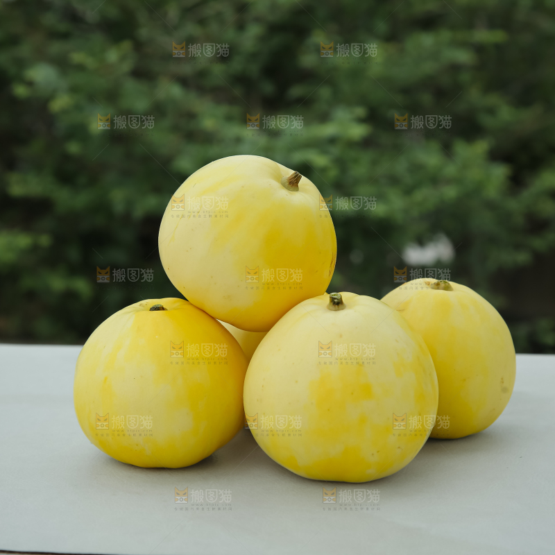 小蜜蜂甜瓜