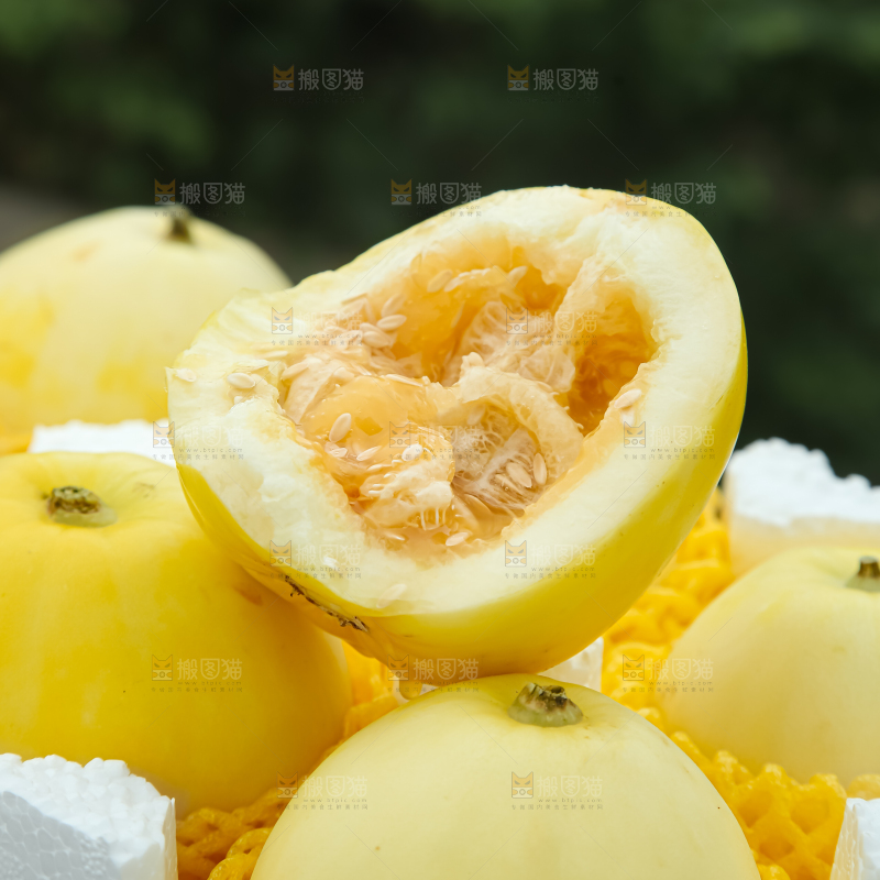 小蜜蜂甜瓜