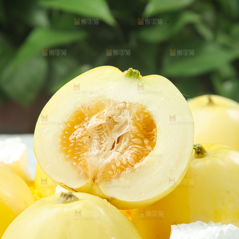 小蜜蜂甜瓜