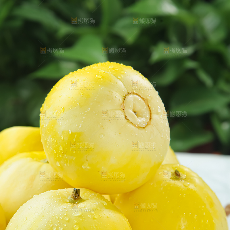小蜜蜂甜瓜