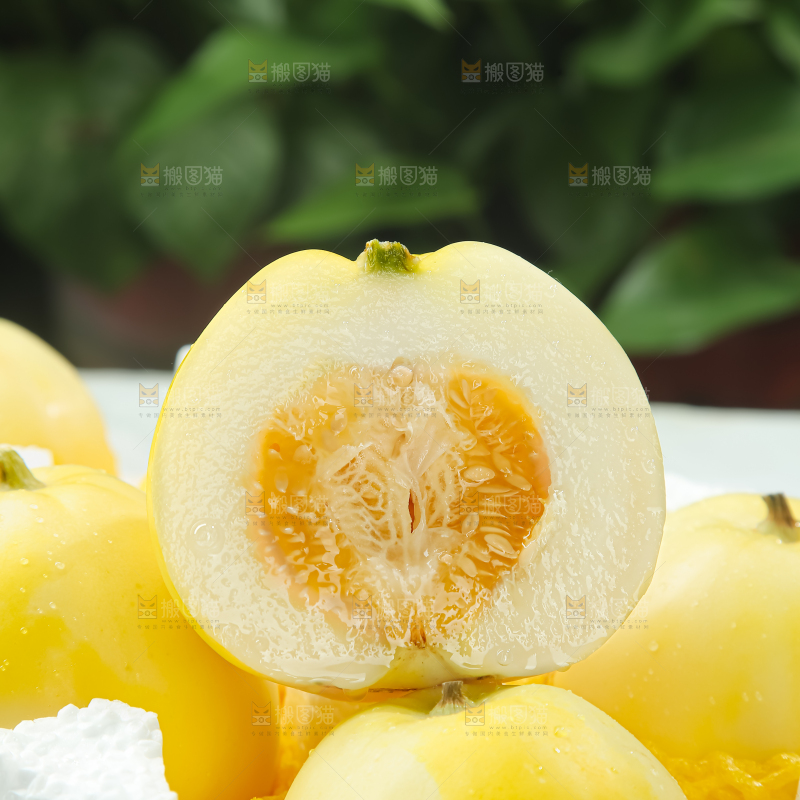 小蜜蜂甜瓜