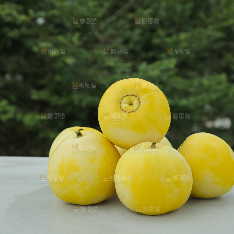 小蜜蜂甜瓜