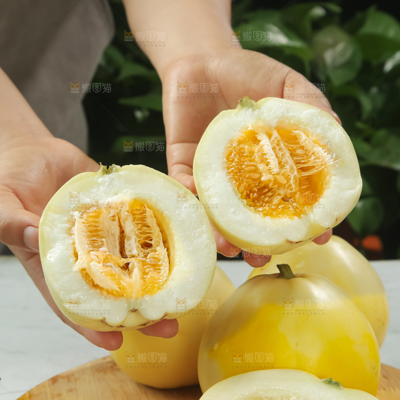 小蜜蜂甜瓜