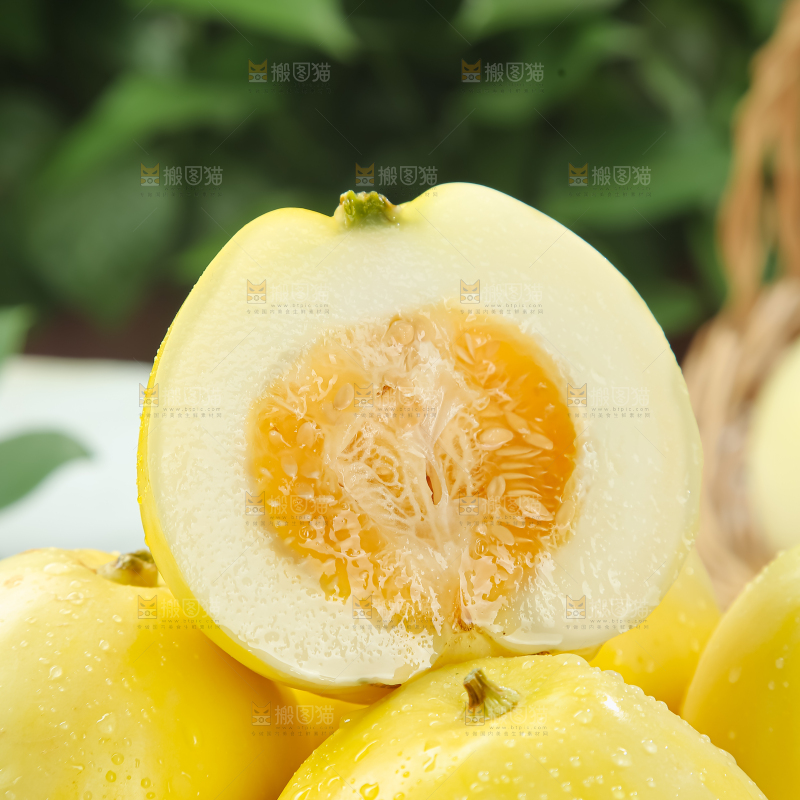 小蜜蜂甜瓜