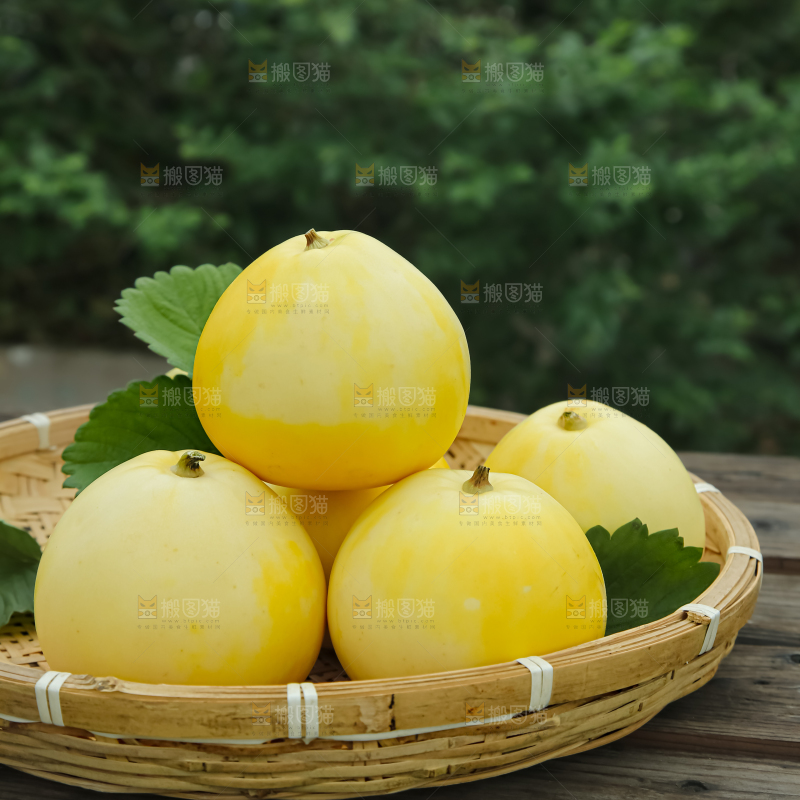小蜜蜂甜瓜