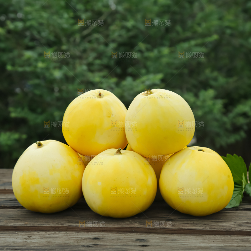 小蜜蜂甜瓜