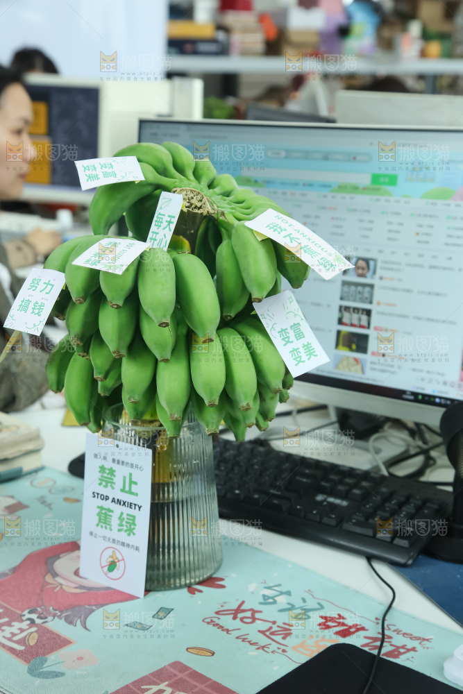 水培香蕉