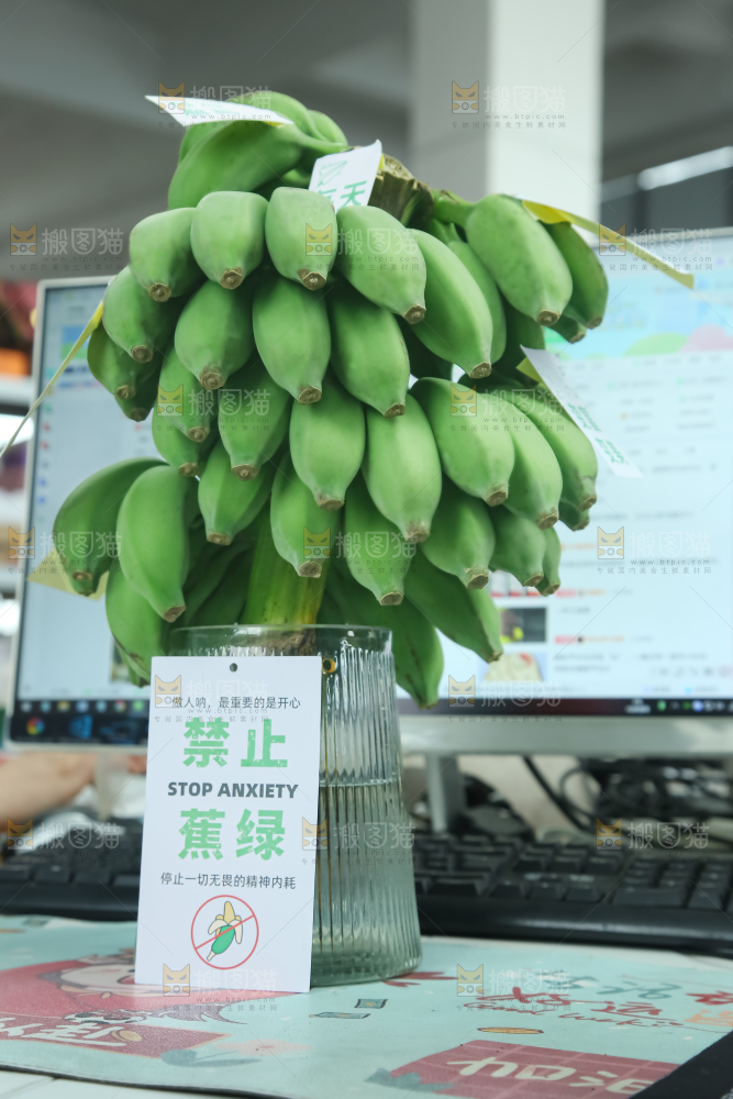 水培香蕉