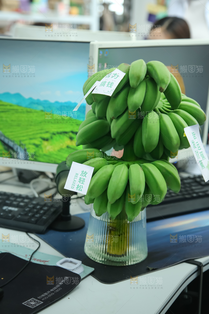 水培香蕉
