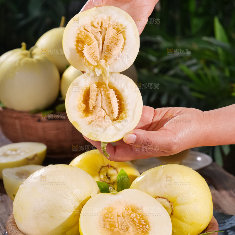 小蜜蜂甜瓜
