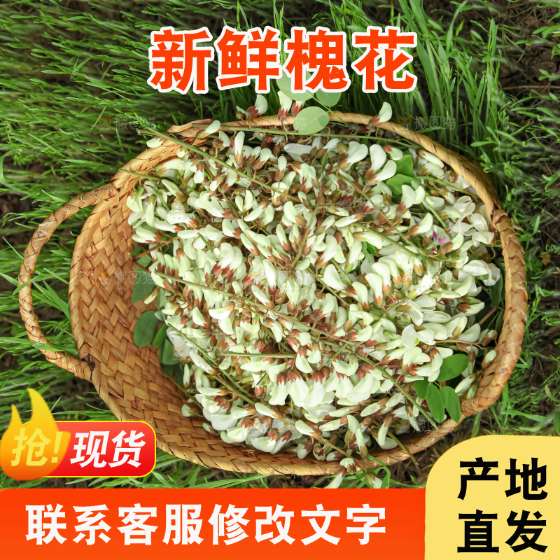 槐花
