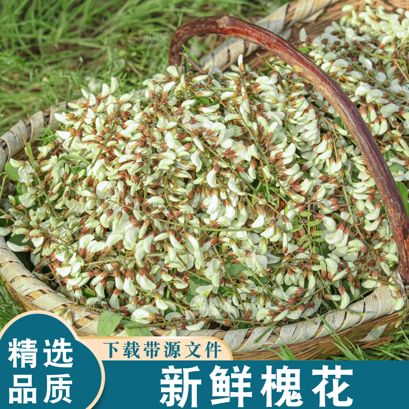 槐花