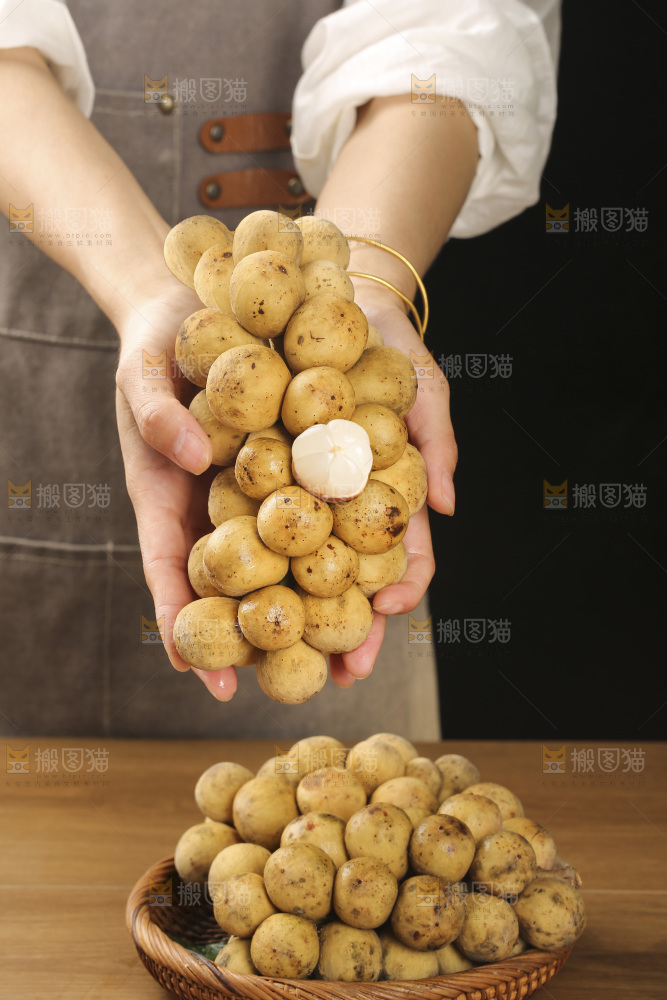 龙宫果