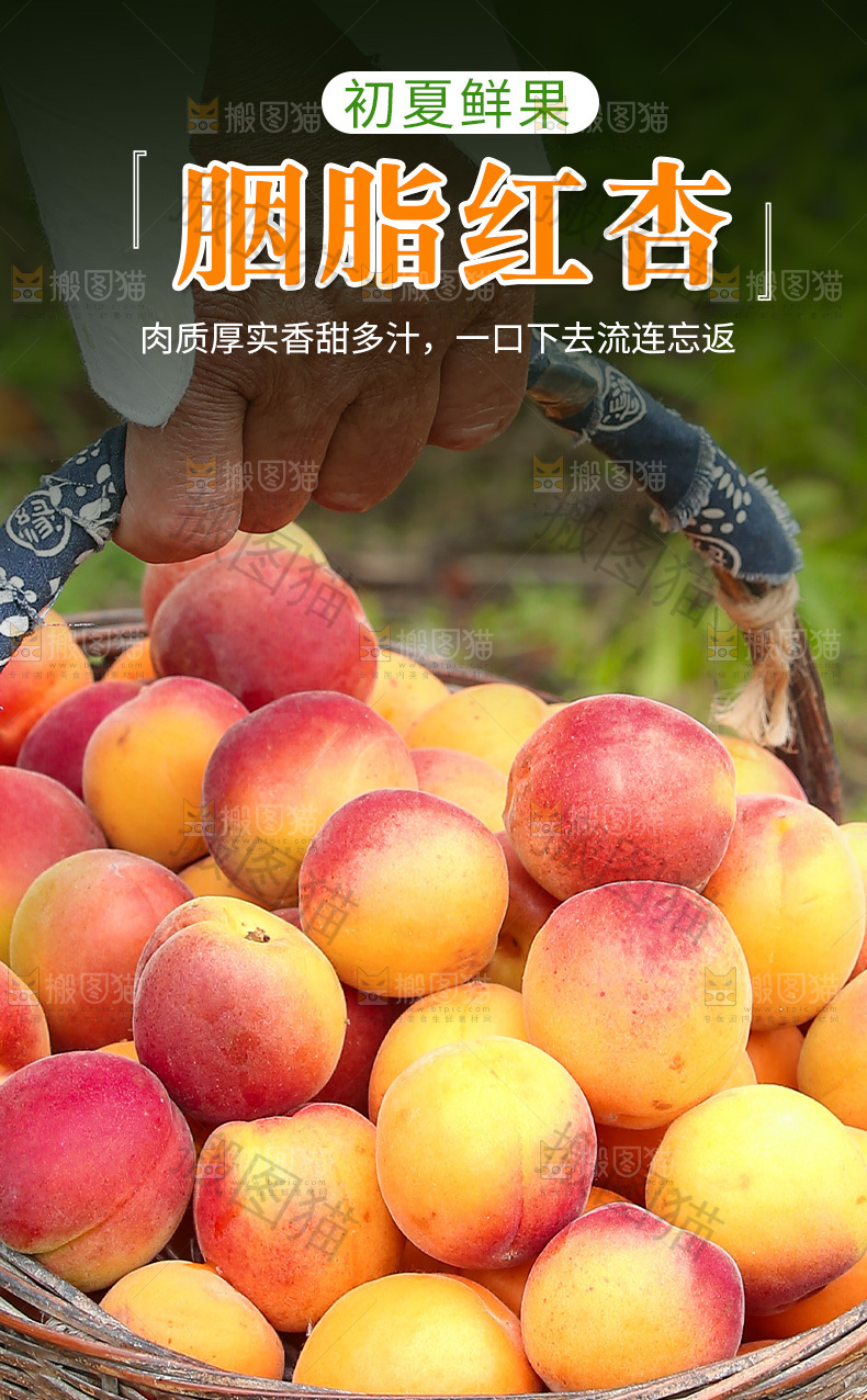 胭脂红杏详情页