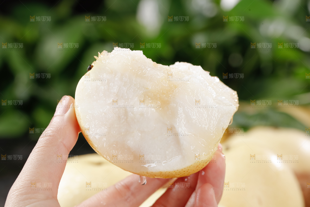 皇冠梨