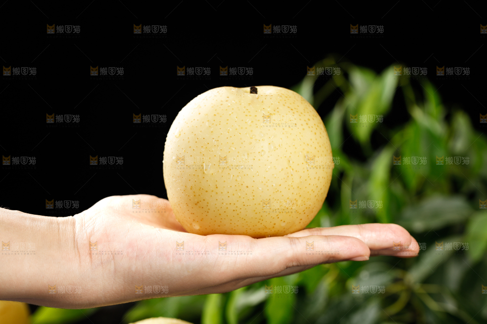 皇冠梨
