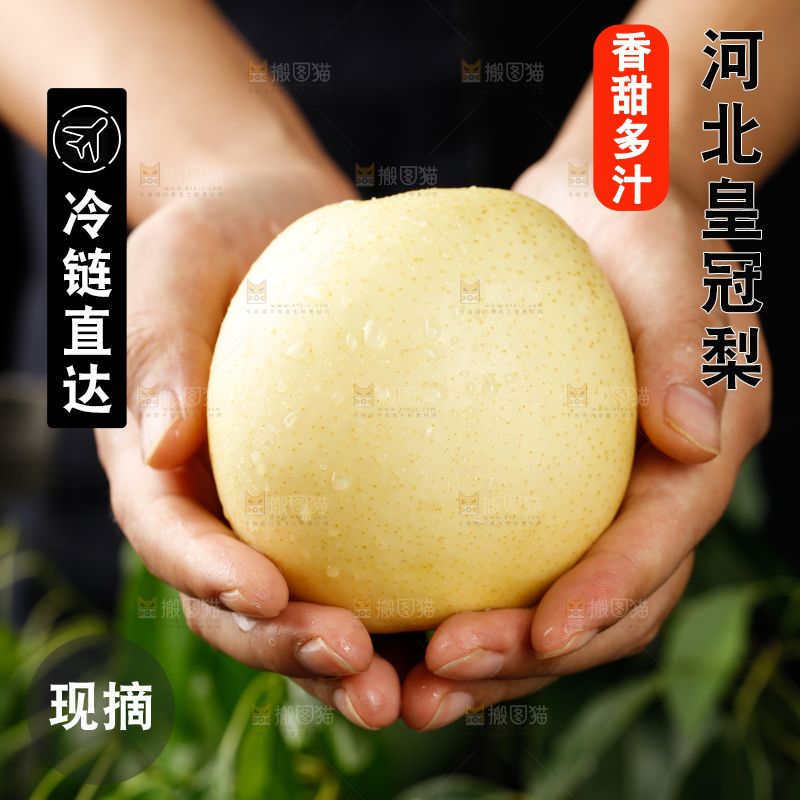 皇冠梨