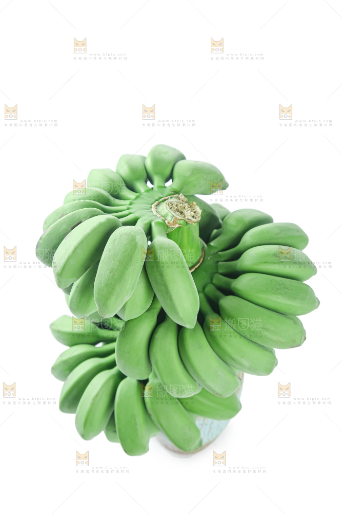 水培香蕉