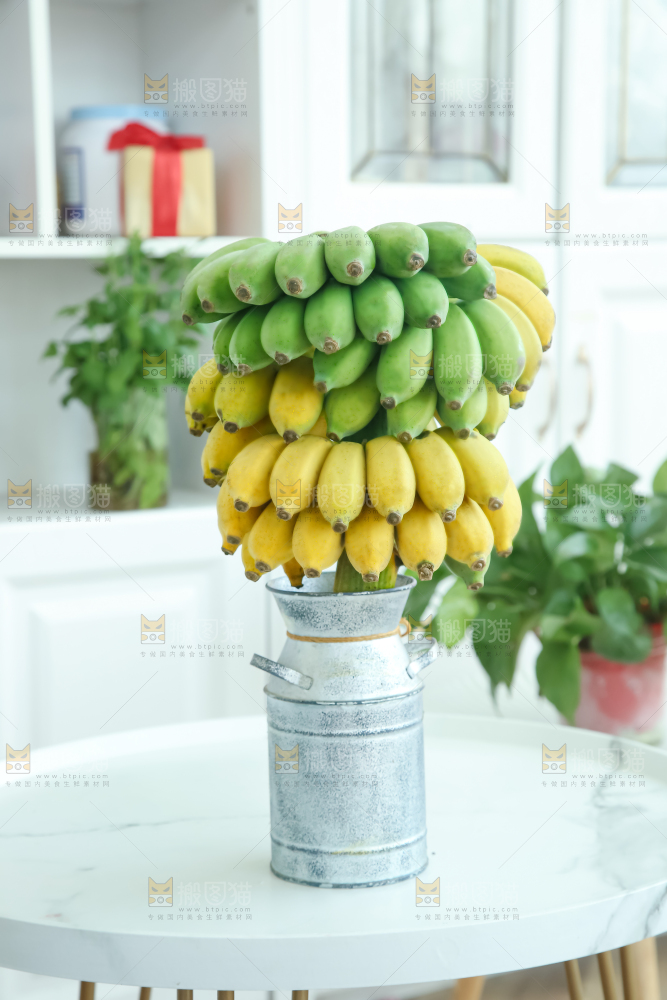 水培香蕉