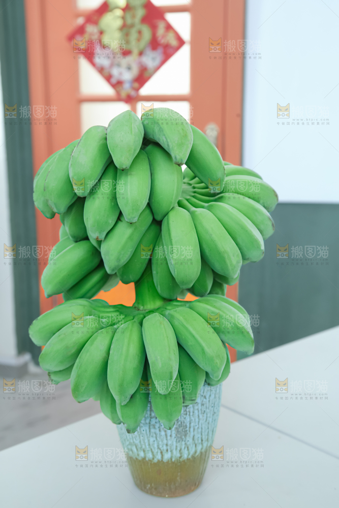 水培香蕉