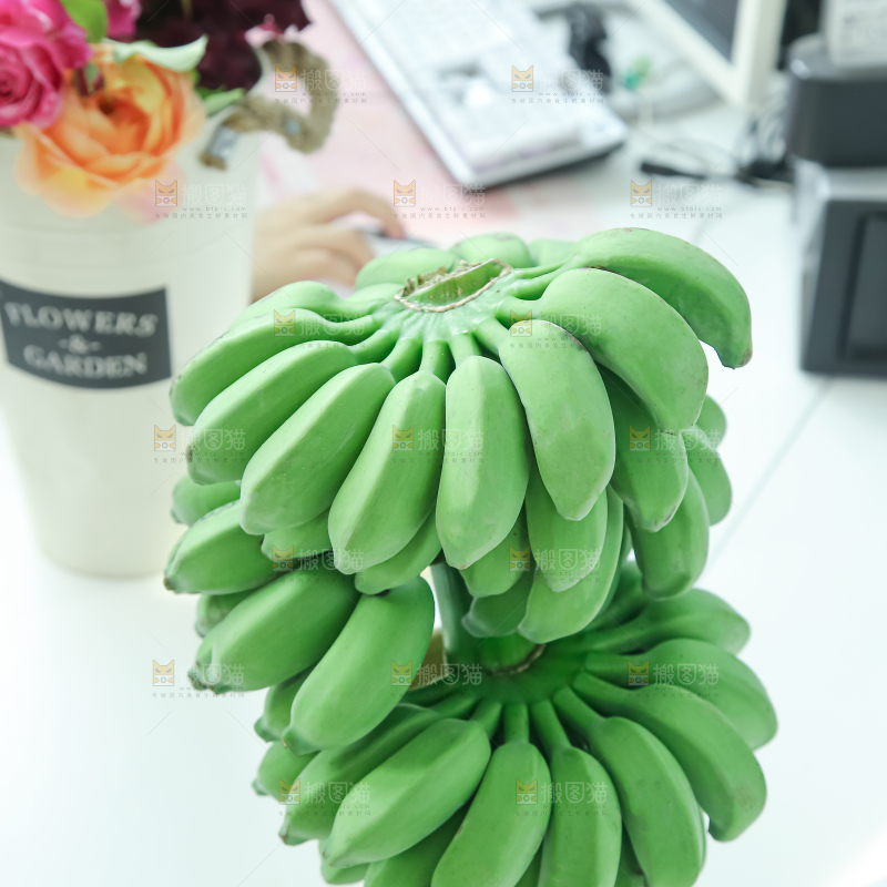 水培香蕉
