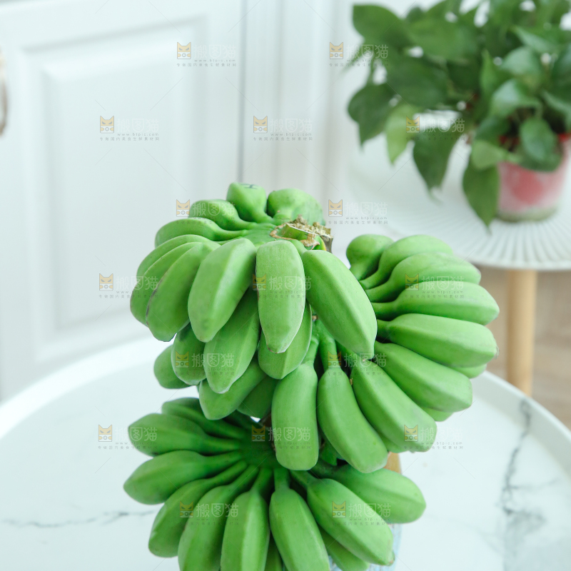 水培香蕉