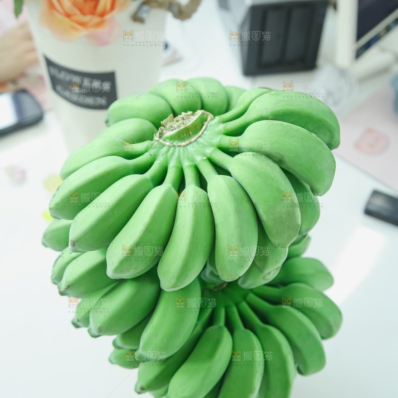 水培香蕉