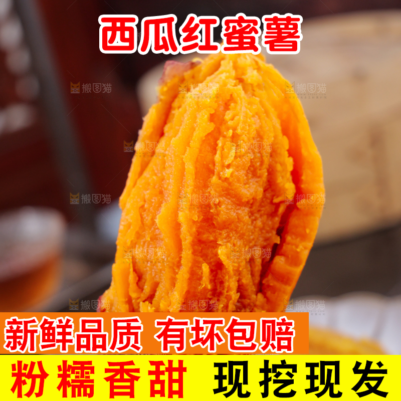 西瓜红蜜薯