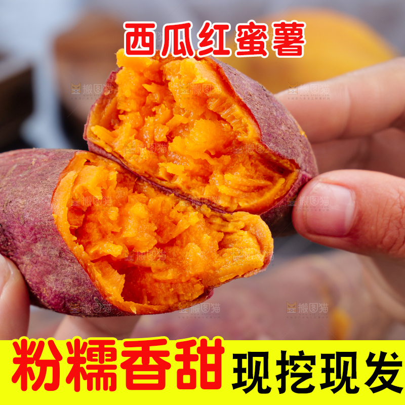西瓜红蜜薯