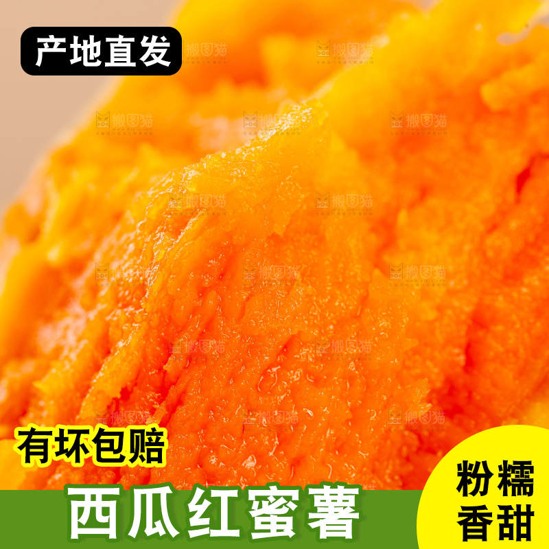 西瓜红蜜薯
