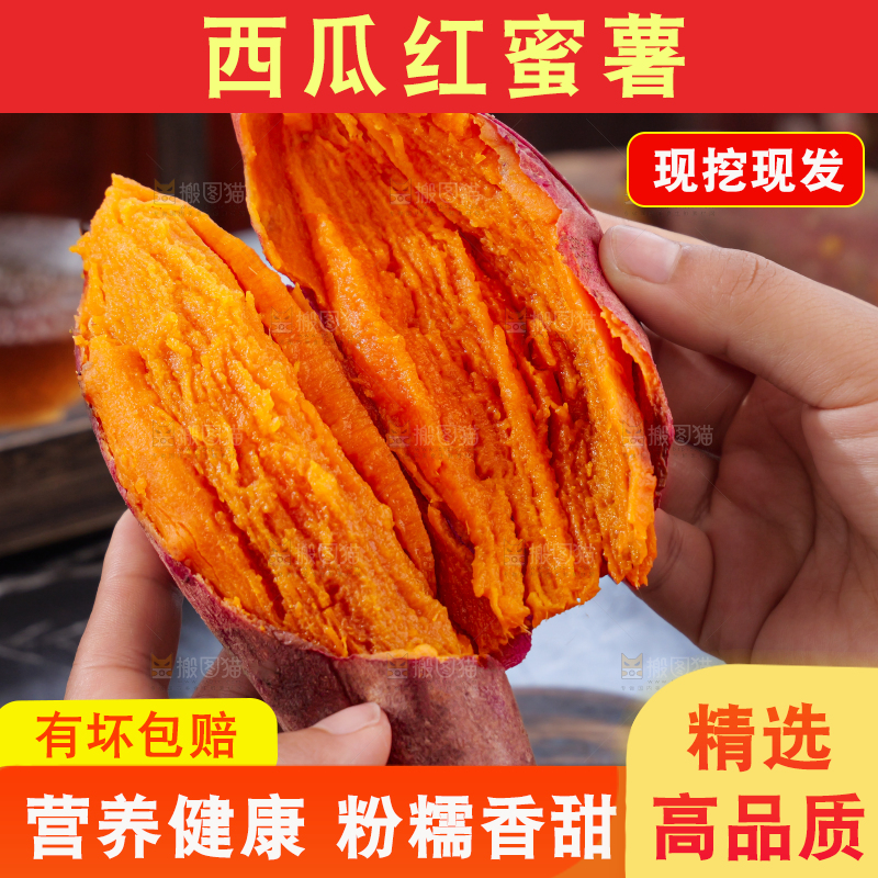 西瓜红蜜薯