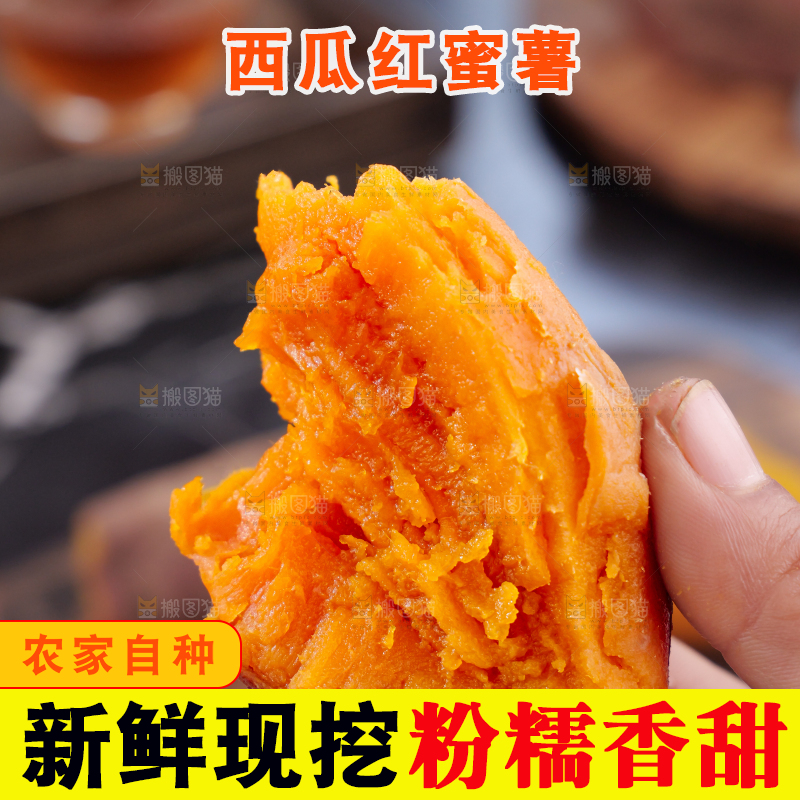 西瓜红蜜薯