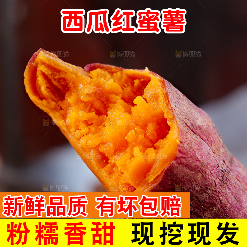 西瓜红蜜薯